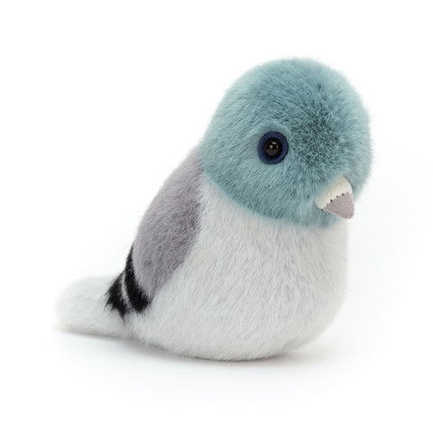 Vogel Birdling Pigeon