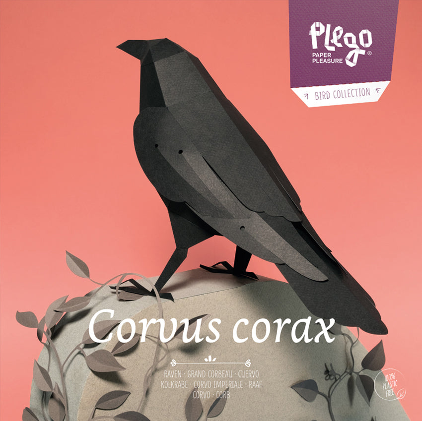 Papierbastelset 3D Kohlrabe Corvus corax