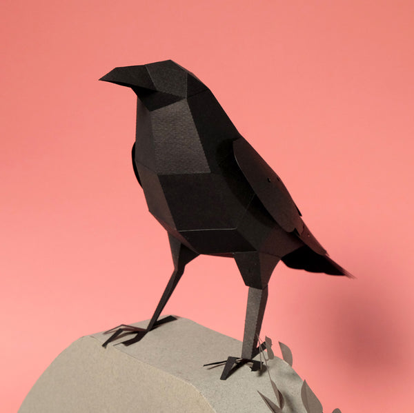 Papierbastelset 3D Kohlrabe Corvus corax