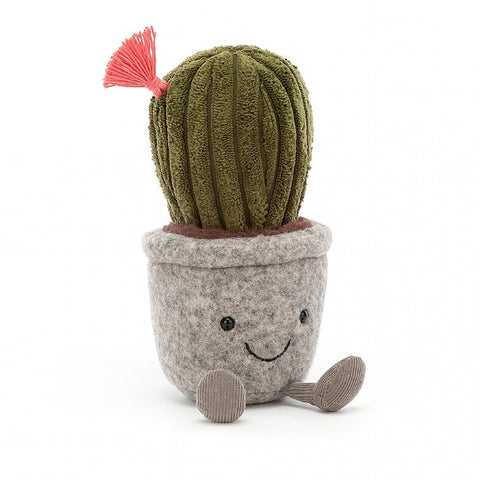 Silly Succulent Barrel Cactus