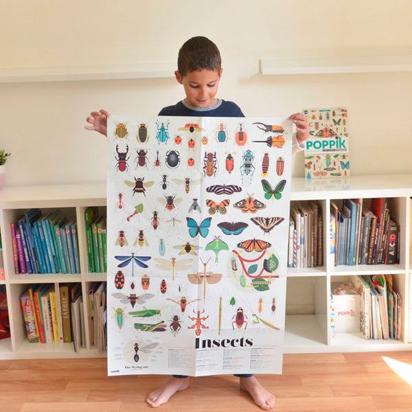 Kleben und Lernen XXL-Poster mit Stickern Insekten