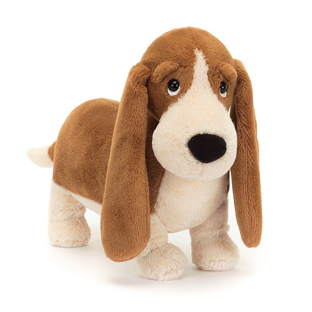 Hund Randall Basset Hound