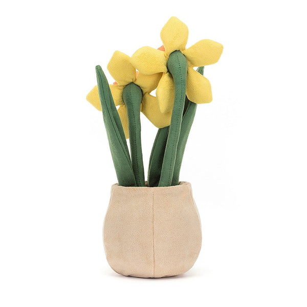 Amuseable Daffodil Plant