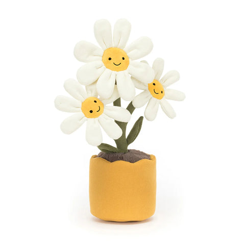 Amuseable Daisy Plant